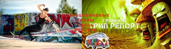 прущие грибы Алексин
