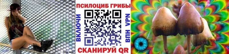 Галлюциногенные грибы Magic Shrooms где найти наркотики Волгоград