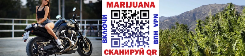 как найти наркотики Волгоград нарко площадка официальный сайт Конопля ГИДРОПОН